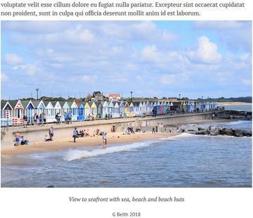 How the caption and attribution will appear on an image when they have been set