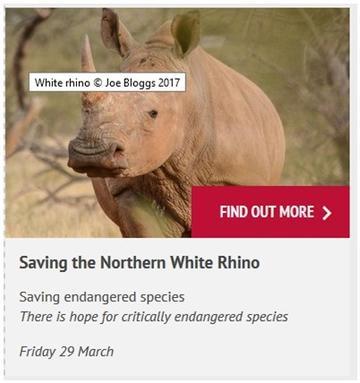 How to title text appears when user hovers cursor over image